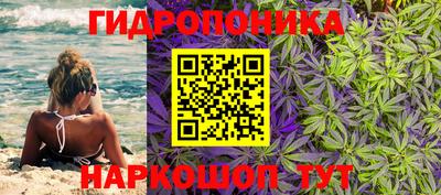 мдпв Донской