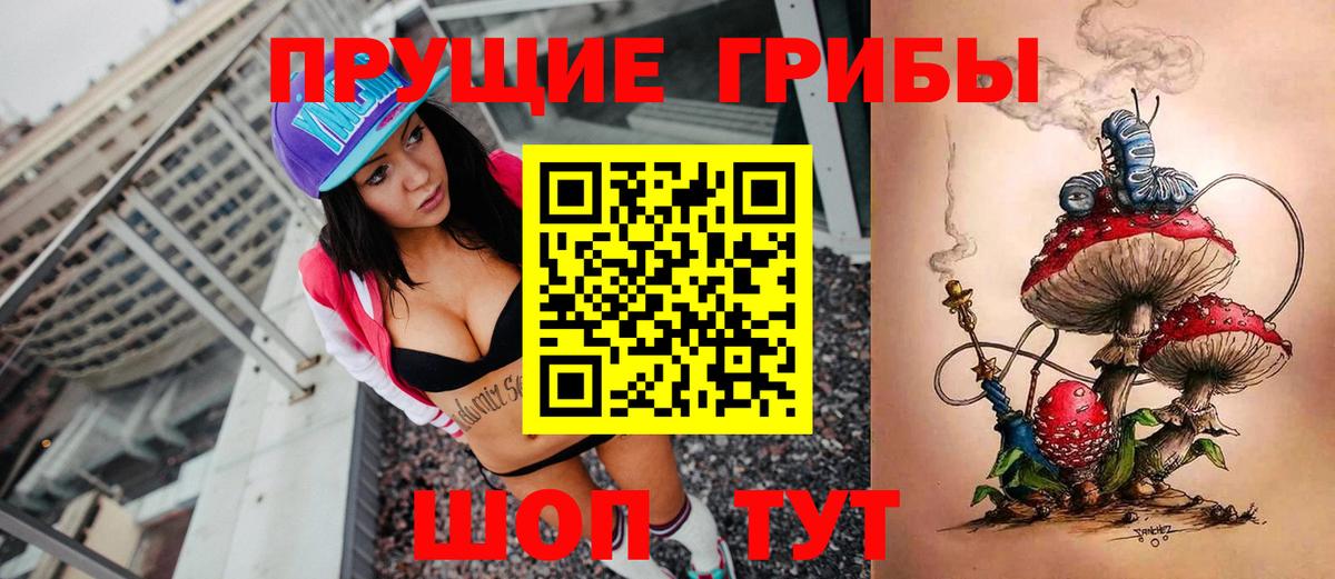 Красногорск  Псилоцибиновые грибы прущие грибы  Вход с VPN 